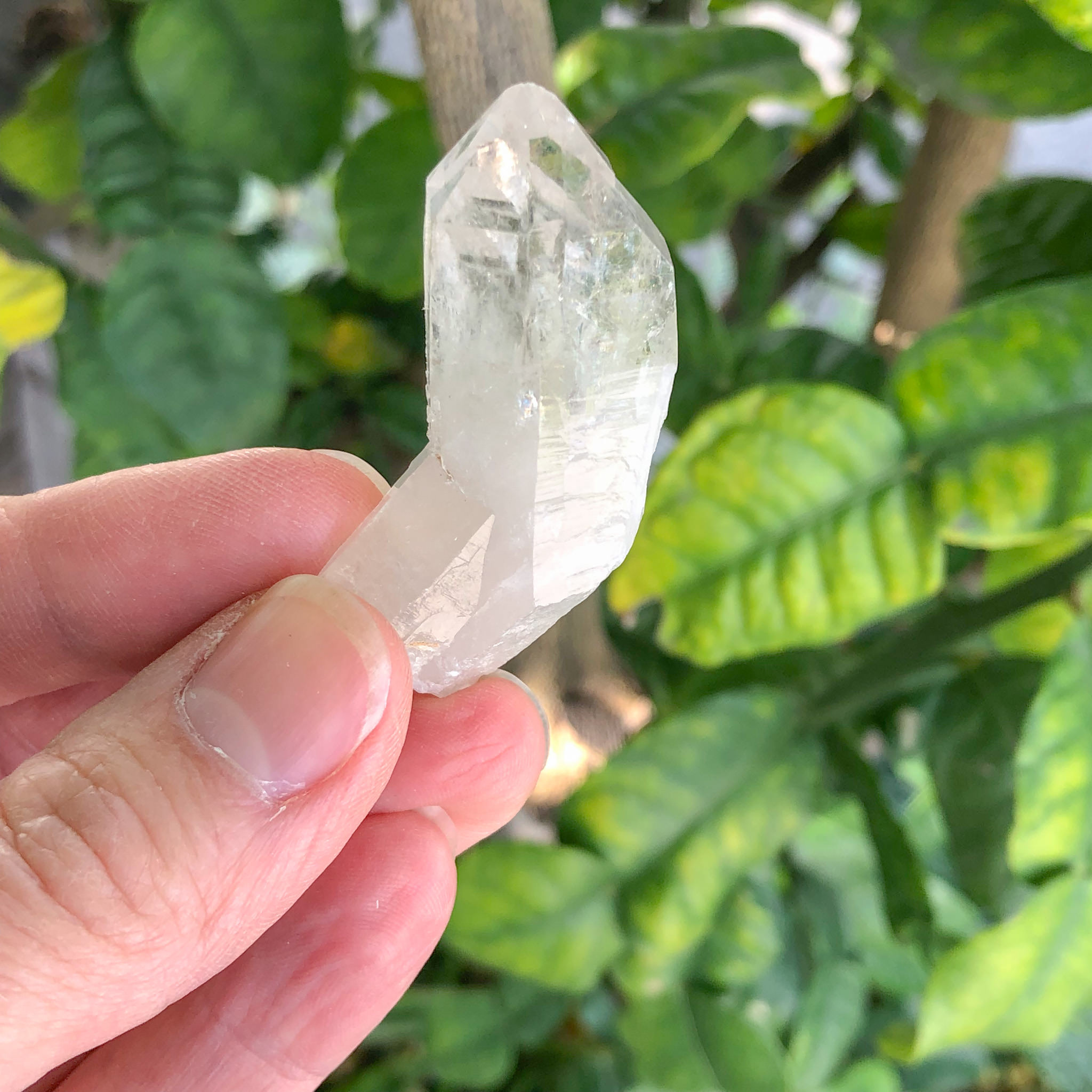 Cathedral Quartz No. 6 Brazil Sacred Earth Crystals