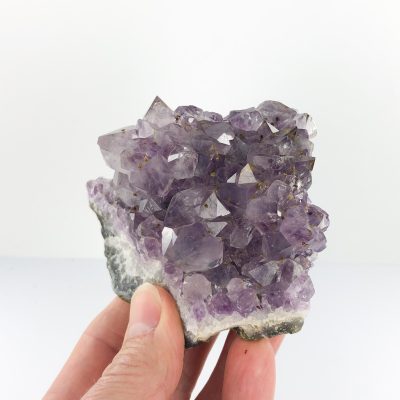 Amethyst | Cluster | Wholesale Crystals | Brisbane | Australia