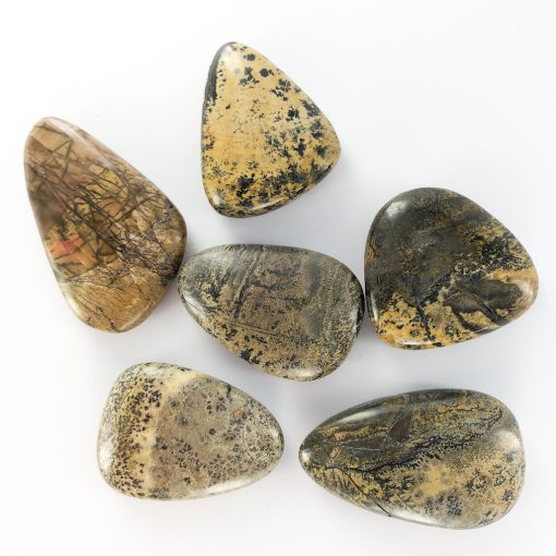 Beige Dendritic Jasper | Smooth Stone | Sacred Earth Crystals | Wholesale Crystal Shop | Brisbane | Australia